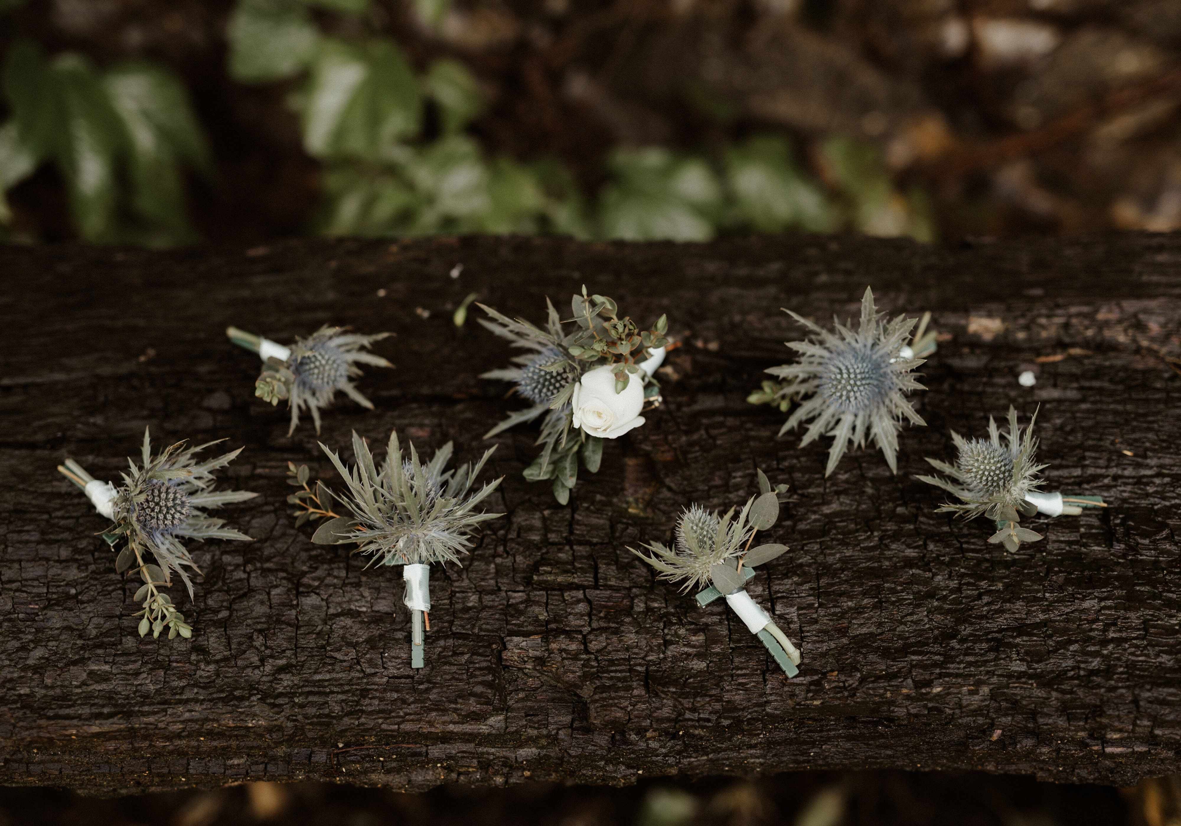  Domaine de Bourgoult Angela Dipaolo Country Wedding