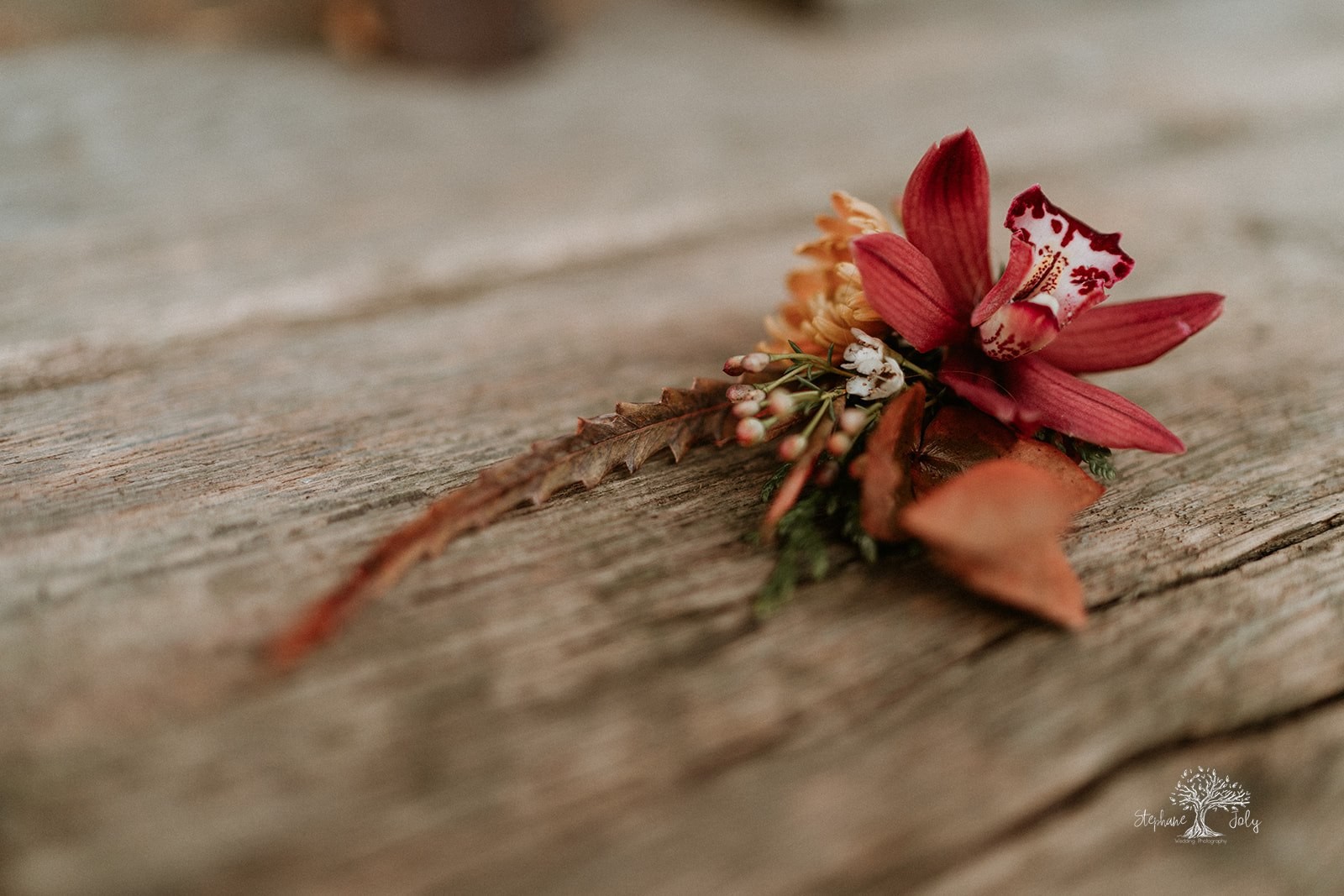 La Petite Fabriek Stéphane Joly Mariage Gipsy